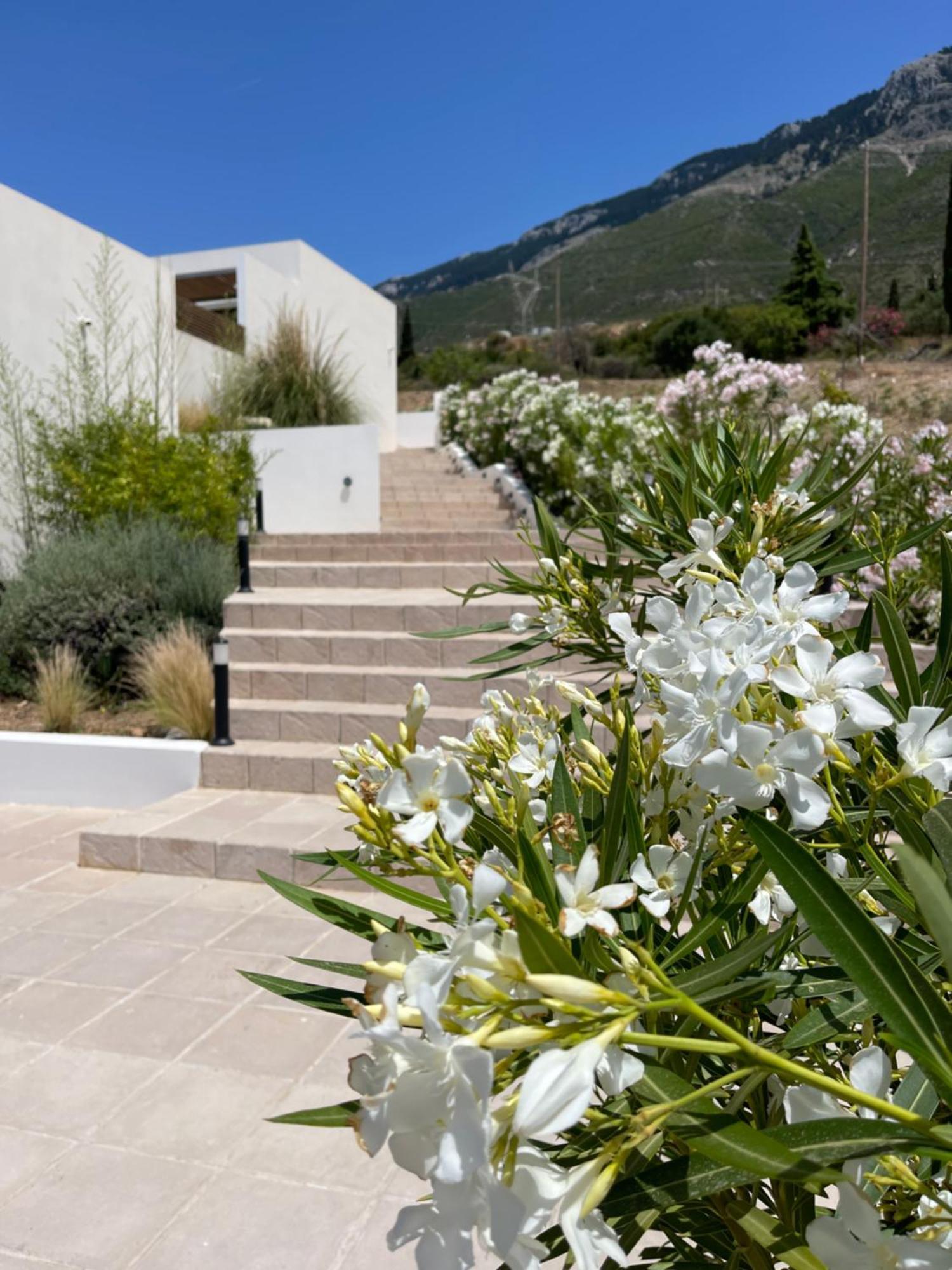 Kefalonian Escape Suites Valeriános Exteriér fotografie