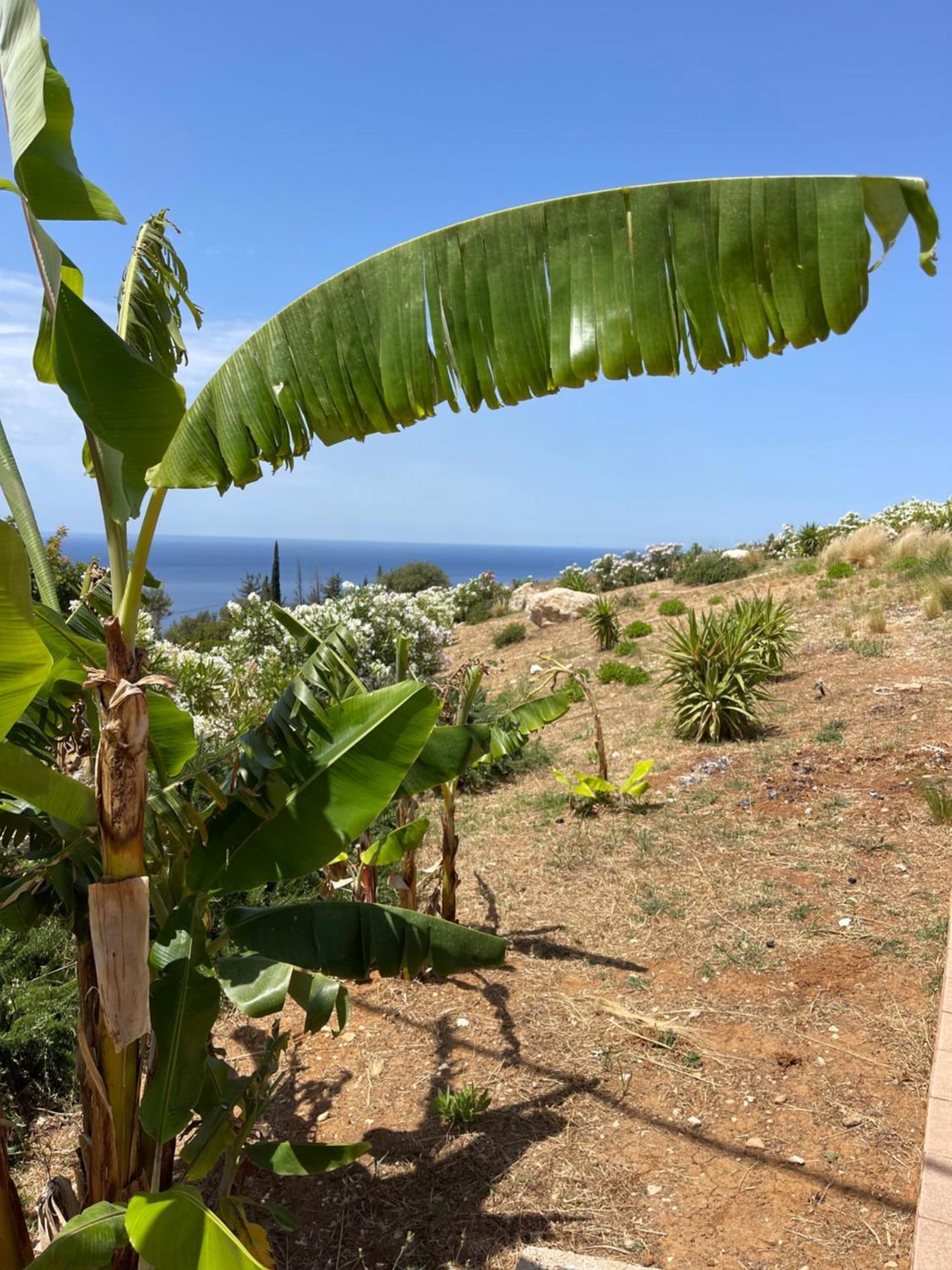 Kefalonian Escape Suites Valeriános Exteriér fotografie